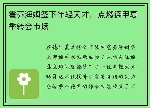 霍芬海姆签下年轻天才，点燃德甲夏季转会市场